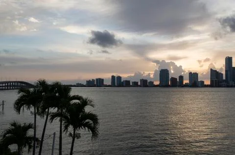 Miami cityscape Stock Photos