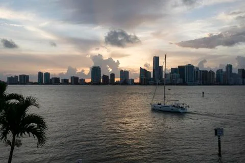 Miami cityscape Stock Photos