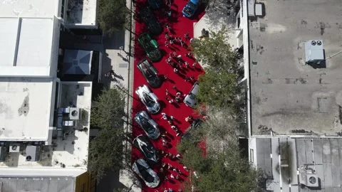 Miami Concours Car Show Stock Footage 241946823