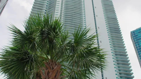 Miami Condominiums 10 Stock Footage 276986029