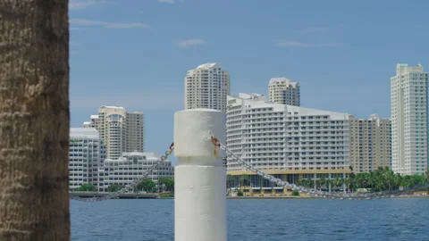 Miami Condominiums 28 Stock Footage 276986529