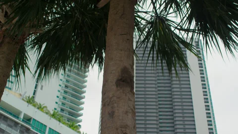 Miami Condominiums 9 Stock Footage 276986752