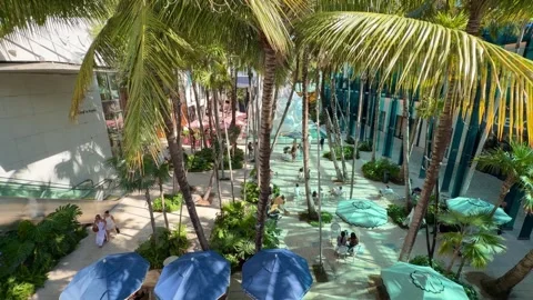 Miami Design District exploring luxury shopping destination with palm trees 스톡 동영상 328293661