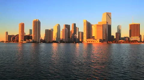 Miami Dolphins 스톡 동영상 1049143