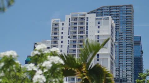 Miami Downtown 11 Stock Footage 276986926