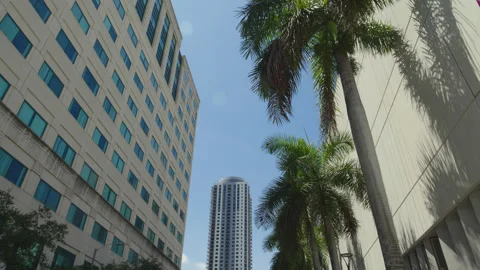 Miami Downtown 17 Stock Footage 276987079