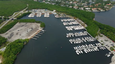 Miami, Florida, 5 April 2025 Harbor with White Yachts and Green Mangrove Coast Stock Footage 317244853