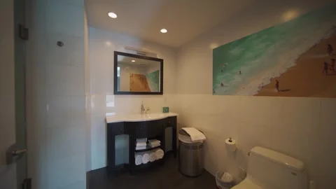 Miami Florida Bathroom 2 Video stock 288227850