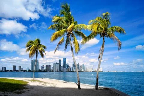 Miami, florida 스톡 사진