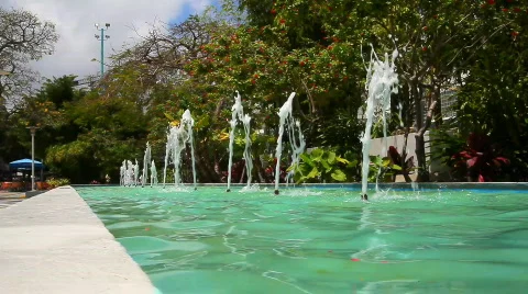 Miami Stock Footage 641755