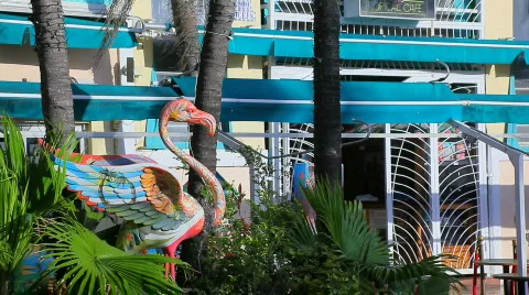 Miami Stock Footage 641763