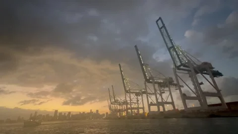 Miami harbor with city view in the background by sunset Stock Footage 337184645