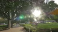 Miami - Kids on ponies at Bayside Marketplace 4k or 4k+ Resolution