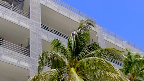 Miami motion background metallic building with palm on blue sky Stock Footage 342083094