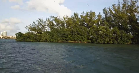 MIAMI OUTLET FOREST Stock-Footage 90235139