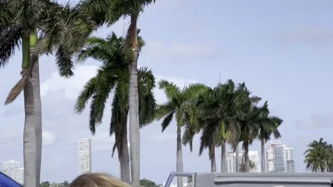 Miami Palm Trees - Captured on iPhone 13 Pro Max Stock Footage 243209805