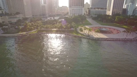Miami park by the water Video stock 90608594