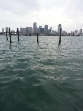 Miami Stock Photos