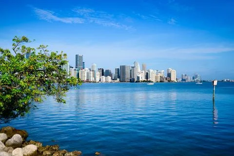 Miami 스톡 사진