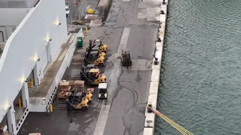 MIAMI port dock workers on forklifts loading products to cruise ships Stock Footage 167691953