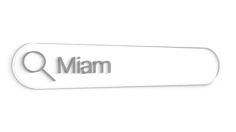 Miami Search Bar Close Up Single Line Typing Text Box Layout Web Database Stock Footage 151547546