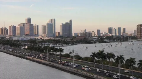 Miami Skyline Video stock 599534