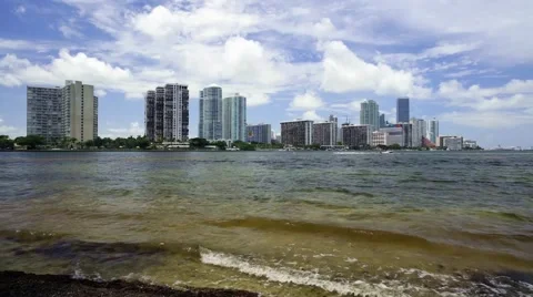 Miami Skyline Stock Footage 51494821