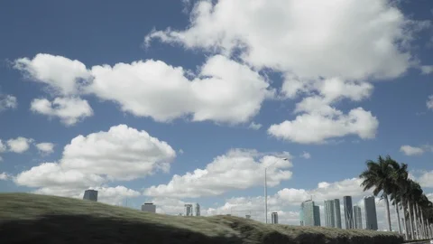 Miami skyline with palm trees Video stock 104583940