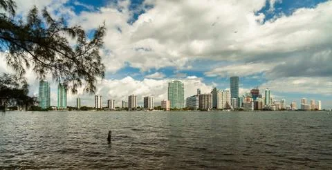 Miami skyline Stock Photos
