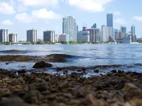 Miami skyline Stock Photos