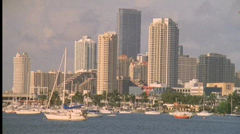 Miami Skyline rack focus Stock Footage 417985