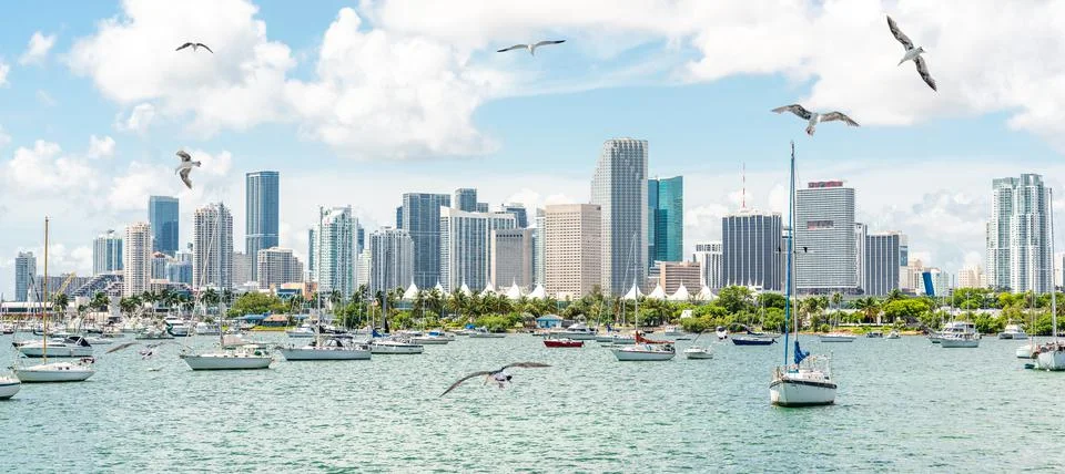 Miami skyline with yachts, boats, seagulls and skyscrapers Stock Photos