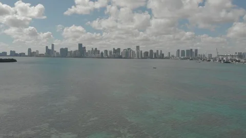 Miami skyline2 Video stock 126733207