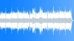 Miami Skylines Stock Music