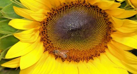 Miami Street Scene Photography Photo Image Atlantic Ocean South Florida Stock Photos