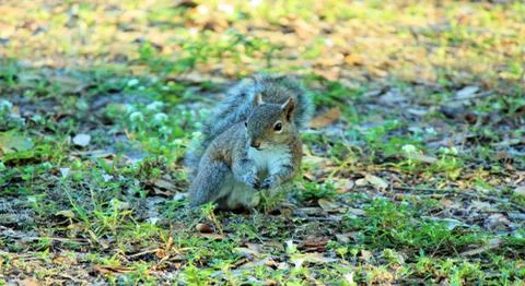 Miami Street Scene Photography Photo Image Atlantic Ocean South Florida Stock Photos