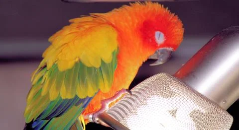 Miami Street Scene Photography Photo Image Atlantic Ocean South Florida Stock Photos