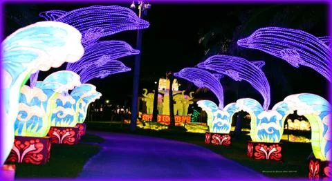 Miami Street Scene Photography Photo Image Atlantic Ocean South Florida Stock Photos