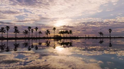 Miami sunset drone dolly Stock Footage 244936797