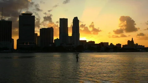 Miami sunset Video stock 645228