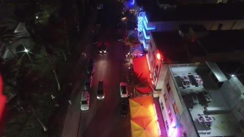 Miami wind 動画素材 236511423