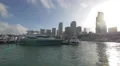 Miami with yachts in Bayside Marina 4k or 4k+ Resolution