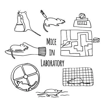 Mice in laboratory hand drawn Illustrazione stock