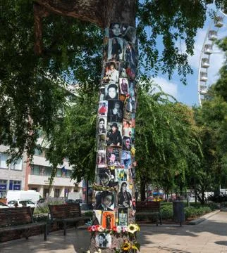 Michael jackson memorial tree Stock Photos