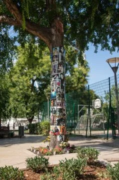 Michael jackson memorial tree Foto stock