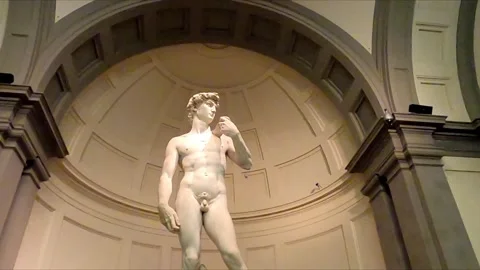 Michelangelo David Statue Stock Footage 317411972