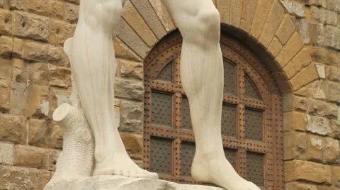 Michelangelo tilt Stock Footage 7741080