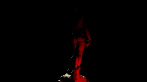 Michelangelo's David 2 Stock Footage 81282341