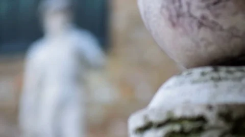 The Michelangelo's David 库存影片 71028736