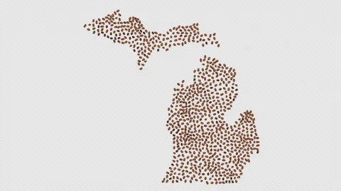 Michigan Coffee Beans Stock Footage 147697689